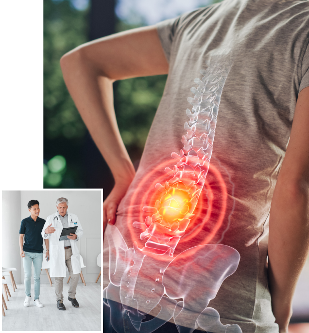 Back pain with highlighted spine area.