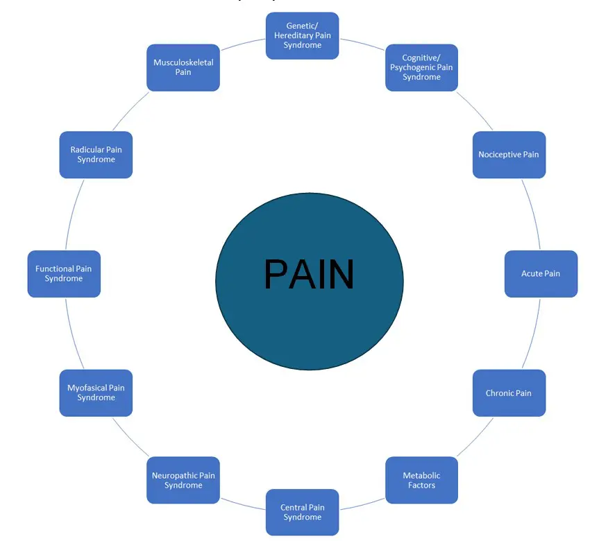 Diagram illustrating the pain cycle with interconnected stages around a central 'PAIN'.